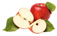 Unsere Trockenfrüchte wie zum Beispiel Apfelringe und andere Früchte werden schonend und ohne Schwefel getrocknet - Nature Trockenfrüchte